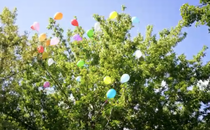 VIDEO - I saluti di fine anno scolastico ai giardini pubblici